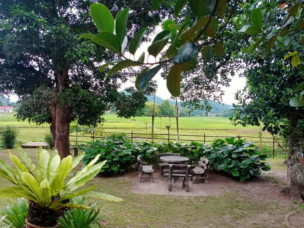 Kampung Tok Lembut Vacation Home Pantai Cenang  Eksteriør bilde