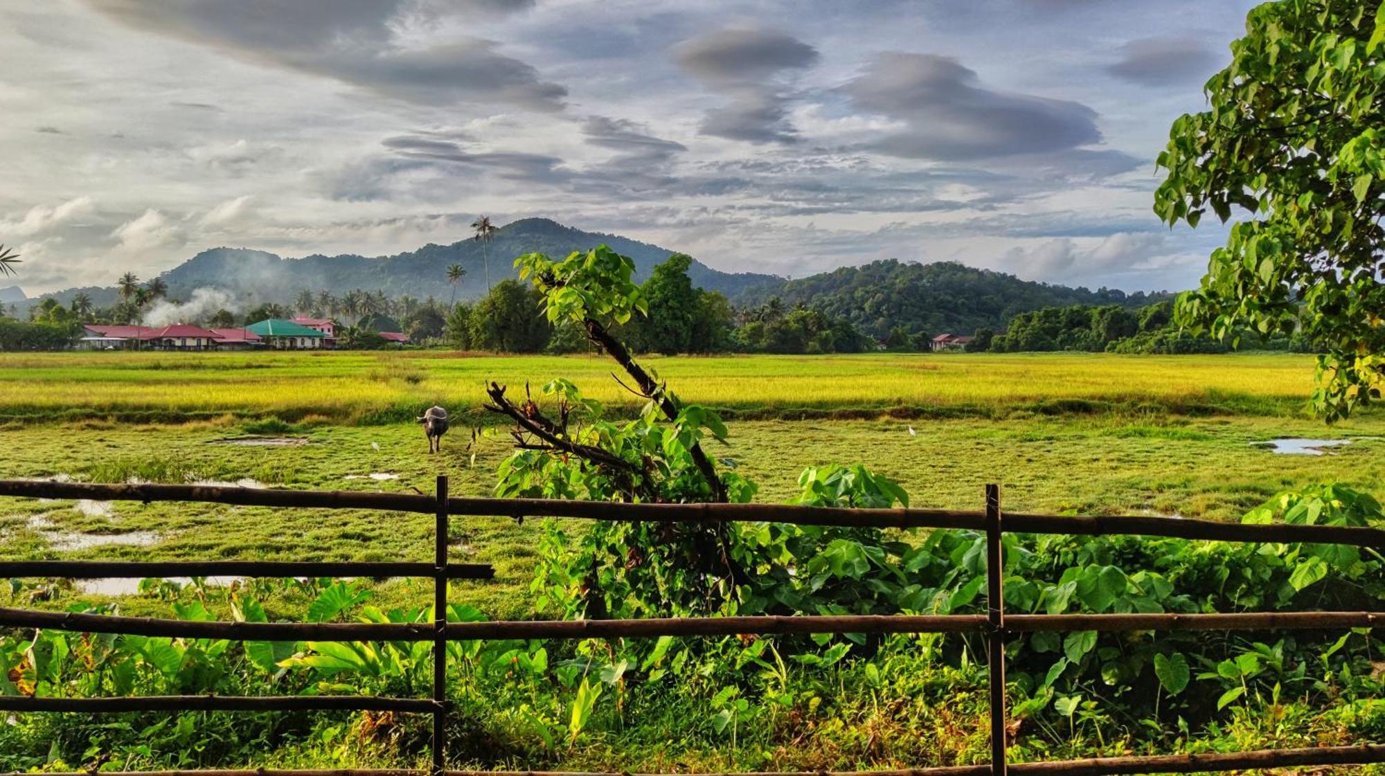Kampung Tok Lembut Vacation Home Pantai Cenang  Eksteriør bilde