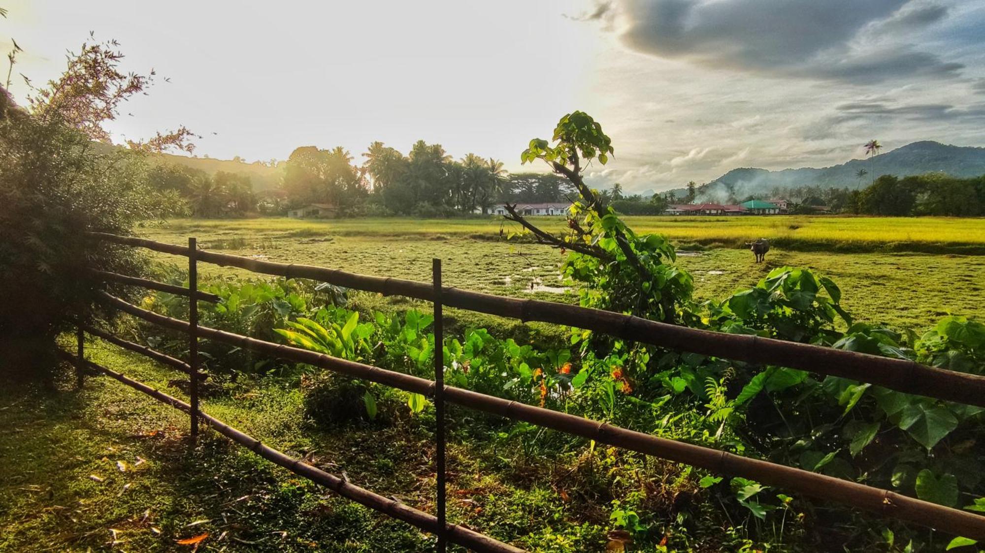 Kampung Tok Lembut Vacation Home Pantai Cenang  Eksteriør bilde